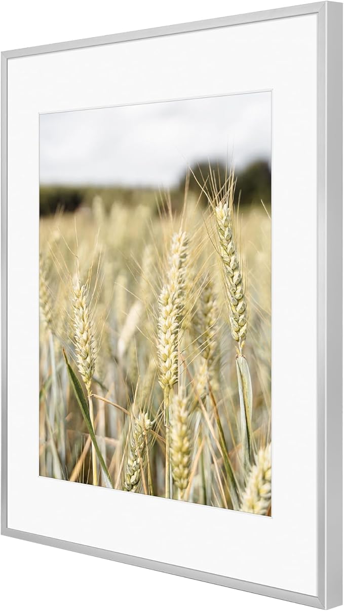 Golden State Art, Gallery Wall Frame Set of 6 - Silver 14x18 Aluminum Photo Frames with Mat for 11x14 Pictures - 14 x 18 inch Metal Frame with Real Glass Cover - Elegant Home or Office Decor