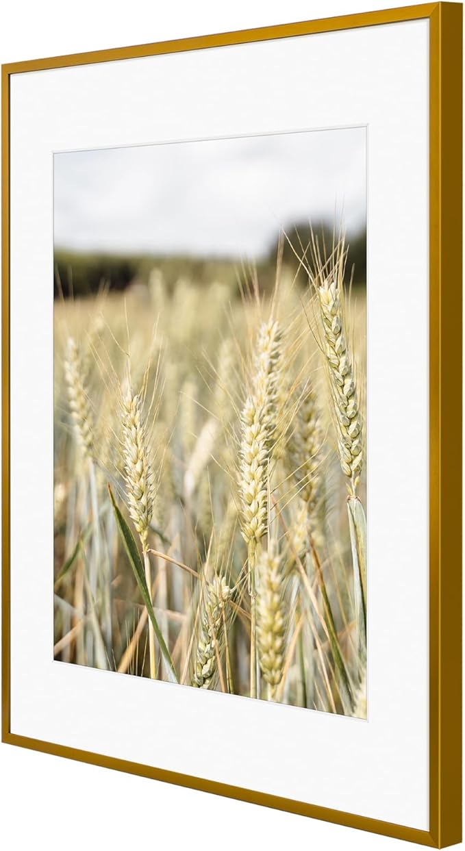 Golden State Art, Gallery Wall Frame Set of 6 - Bronze 14x18 Aluminum Photo Frames with Mat for 11x14 Pictures - 14 x 18 inch Metal Frame with Real Glass Cover - Elegant Home or Office Decor