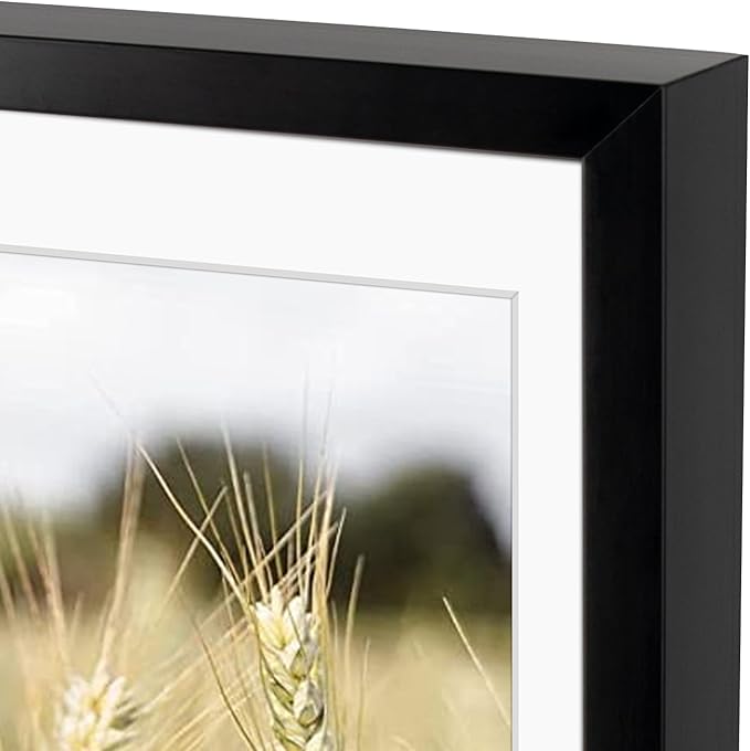 Golden State Art, Gallery Wall Frame Set of 6 - Black 18x24 Aluminum Photo Frames with Mat for 16x20 Pictures - 18 x 24 inch Metal Frame with Real Glass Cover - Elegant Home or Office Decor