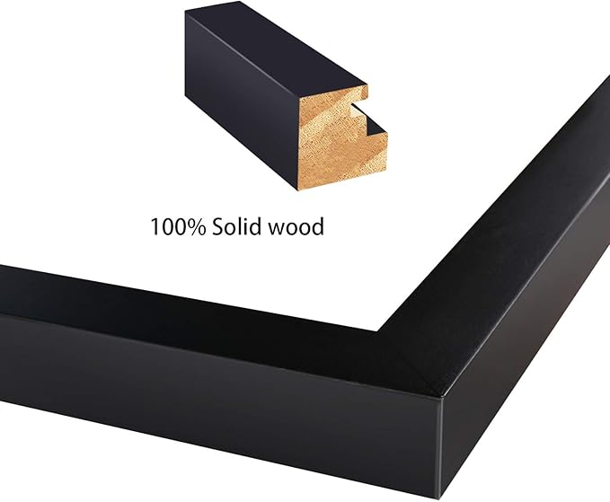 Egofine 16x20 Solid Wood Poster Frame Matted for 11x14 and 12x16 Black - Acrylic Plexiglass Front for Wall Mounting Hanging Picture Frame Vertically or Horizontally, Set of 2