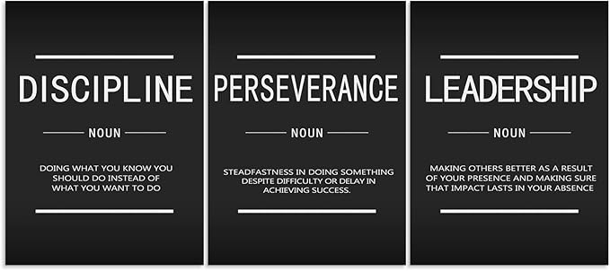 Discipline Perseverance Leadership Noun Inspirational Painting Wall Art 3 Pieces Canvas Print Office Decor Poster Framed Motivational Quotes for Wall Art Office Decoration Ready to Hang[36''Wx 16''H]