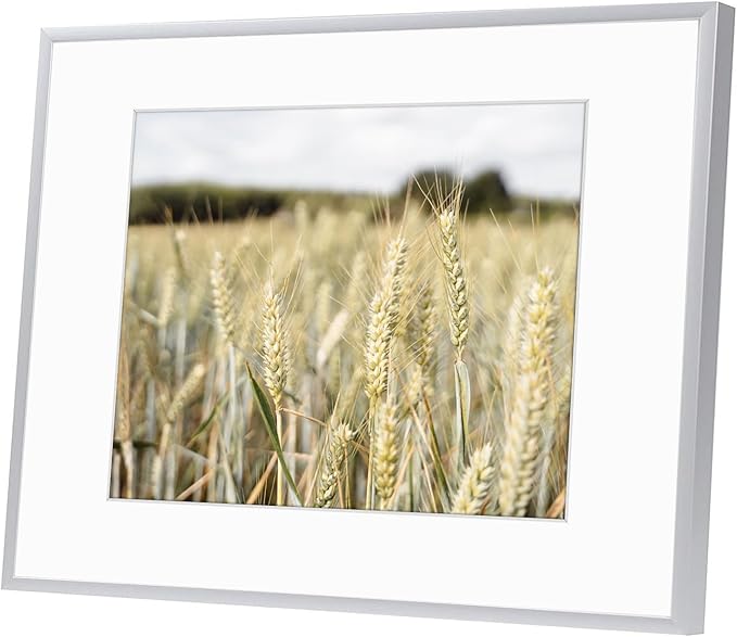 Golden State Art, Gallery Wall Frame Set of 6 - Silver 12x16 Aluminum Photo Frames with Mat for 8.5x11 Pictures - 12 x 16 inch Metal Frame with Real Glass Cover - Elegant Home or Office Decor