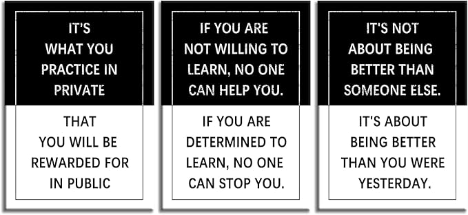 3 Piece Practice Inspirational Poster Entrepreneur quote Motivational Wall Art Canvas Prints Artwork for Office Living Room Modern Home Decor Painting Pictures Stretched and Framed[60''Wx 28''H]