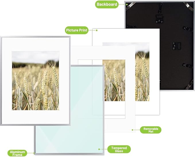 Golden State Art, Gallery Wall Frame Set of 6 - Silver 11x14 Aluminum Photo Frames with Mat for 8x10 Pictures - 11 x 14 inch Metal Frame with Real Glass Cover - Elegant Home or Office Decor