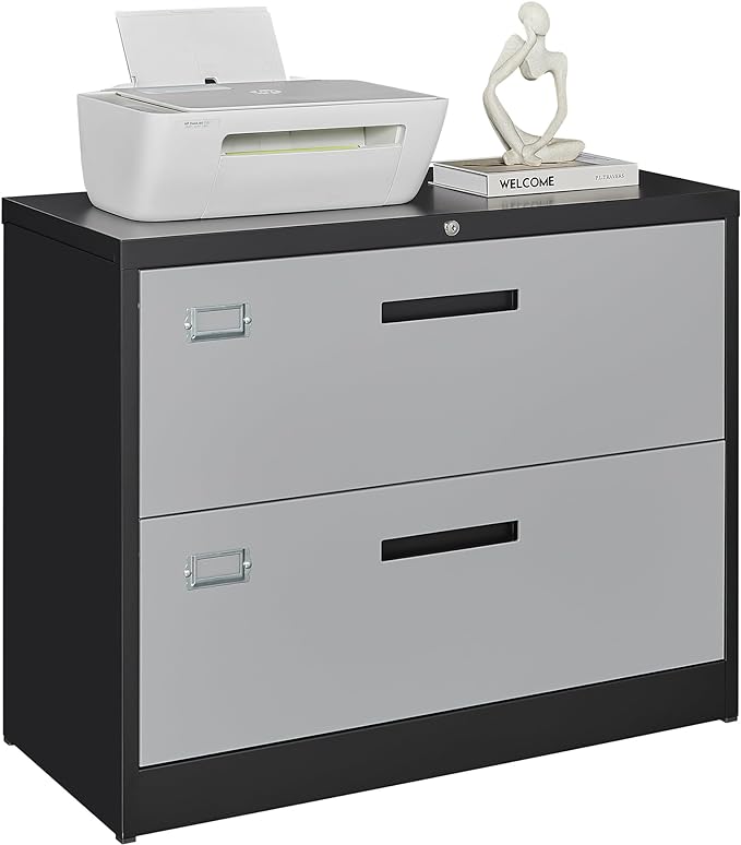 Letaya File Cabinet with Lock-Lateral 2 Drawer Metal Filing Cabinets-Organization Storage Cabinets for Home Office-Hanging Letter/Legal/F4/A4 Size (2 Drawer-Grey Black)
