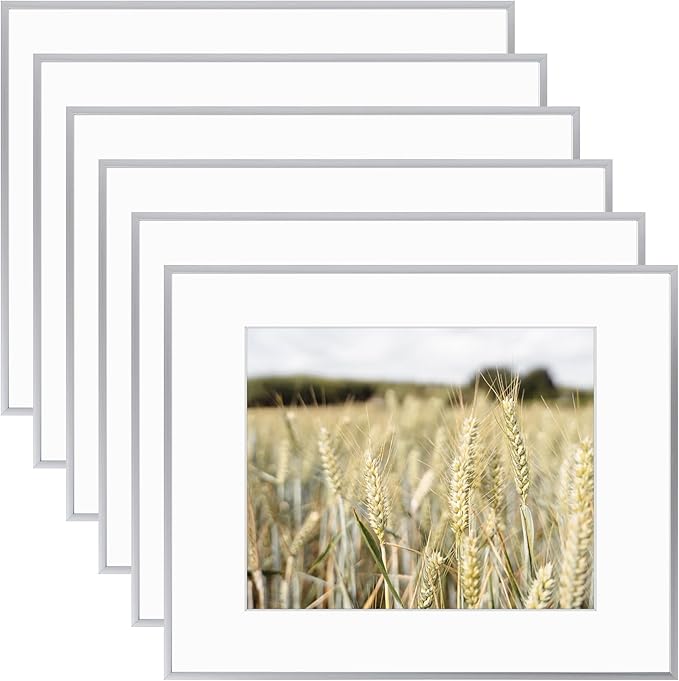 Golden State Art, Gallery Wall Frame Set of 6 - Silver 16x20 Aluminum Photo Frames with Mat for 11x14 Pictures - 16 x 20 inch Metal Frame with Real Glass Cover - Elegant Home or Office Decor