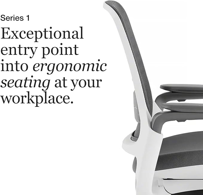 Steelcase Series 1 Office Chair - Ergonomic Work Chair with Wheels for Carpet - Helps Support Productivity - Weight-Activated Controls, Back Supports & Arm Support - Easy Assembly - Graphite, Light