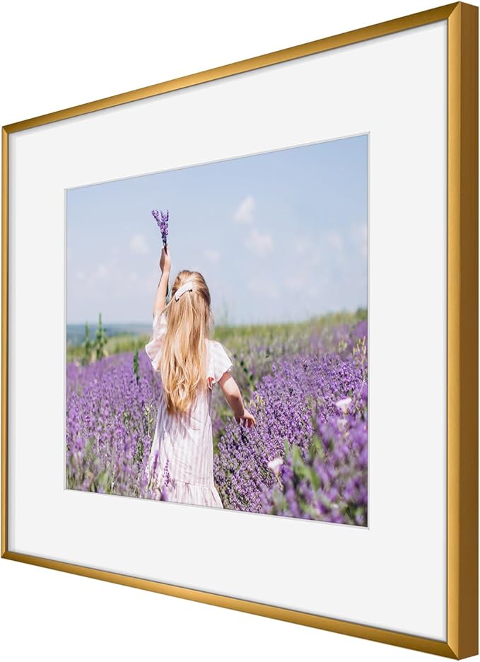 Golden State Art, Gallery Wall Frame Set of 6 - Bronze 16x20 Aluminum Photo Frames with Mat for 11x14 Pictures - 16 x 20 inch Metal Frame with Real Glass Cover - Elegant Home or Office Decor