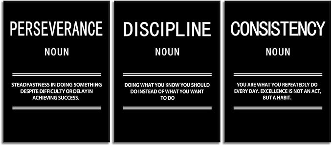 Perseverance Discipline Consistency Motivational Canvas Office 3 Panel Print Wall Art Inspirational Poster Painting Modern Inspiring Artwork for Home Living Room Decor Ready to Hang [36''Wx 16''H]