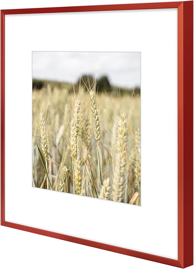 Golden State Art 12x12 Picture Frame 6 Pack - Dark Red Aluminum Photo Frames With 8x8 Mats and Real Glass Cover - Elegant Minimalist Wall Gallery Frames for Home or Office Decor