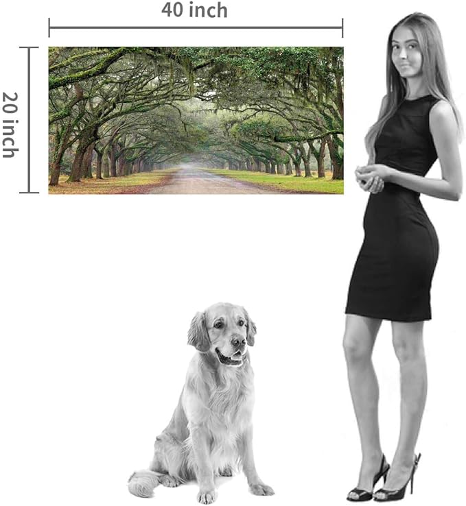 Hardy Gallery Oak Tree Canvas Wall Art: Green Landscape Artwork Forest Picture Painting for Living Room (40'' x 20'' x 1 Panel)