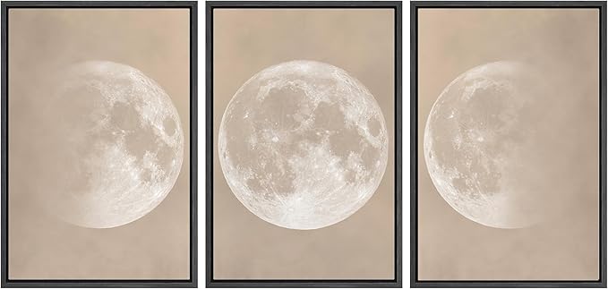 SIGNWIN Framed Canvas Print Wall Art Full Moon Minimalist Beige and Black Toned Lunar Nature Wilderness Modern Art Cool for Living Room, Bedroom, Office - 24"x36"x3 Black