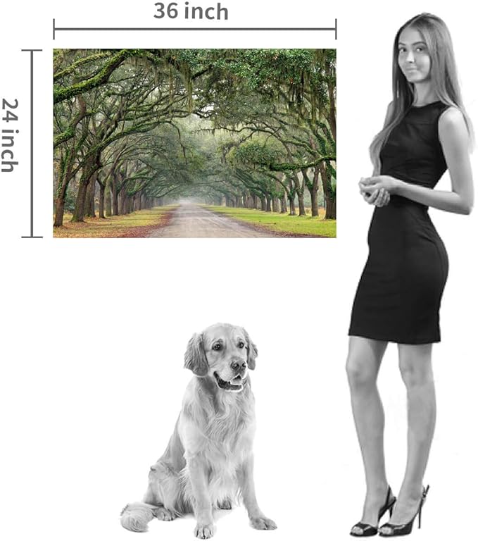 Hardy Gallery Green Oak Trees Art Painting: Landscape Artwork Forest Picture Print on Canvas Wall Art for Living Rooms (36"x24")