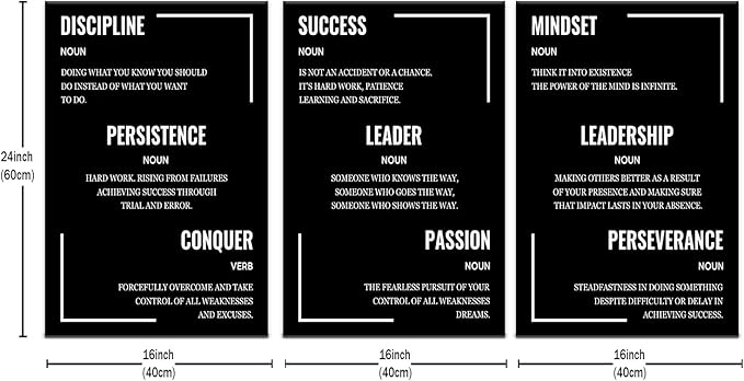 Motivational Poster Inspiring Canvas Wall Art Picture Prints 3 Piece Inspirational Wall Decor Painting Artwork for Modern Home Teens Room Office Classroom Gym Stretched and Framed [48''Hx24''W]