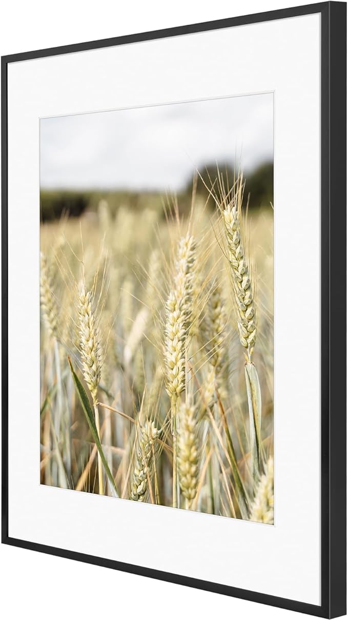 Golden State Art, Gallery Wall Frame Set of 6 - Black 14x18 Aluminum Photo Frames with Mat for 11x14 Pictures - 14 x 18 inch Metal Frame with Real Glass Cover - Elegant Home or Office Decor