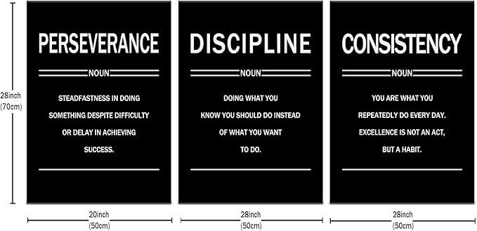 3 Pieces Motivational Posters Wall Decor Perseverance Discipline Consistency Inspirational Office Gym Positive Theme Picture Print for Living Room Workplace Stretched and Framed [60''W x 28''H]