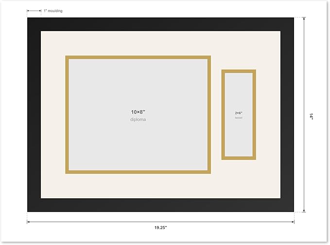 CountryArtHouse Diploma and Tassel Frame Fits 10 x 8 Professional License with Tassel Hook Matte Black Genuine Hardwood Shadowbox with Dark Red Over Metallic Gold Double mat