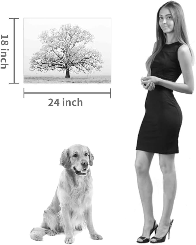 Hardy Gallery Winter Tree Canvas Wall Art: Black & White Tree Picture Print Artwork for Living Rooms Wall Decor (24'' x 18'')