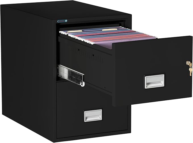 31 inch 2-Drawer Vertical Fireproof File Cabinet – Legal and Letter Size Filing – Key Lock – Water Resistant Seal – Fire and Impact Rated – Black Finish – Model LGL2W31B