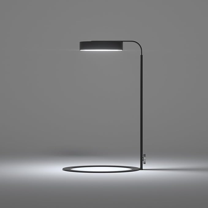 LANDEN LED Desk Lamp with Magnetic Head – 3 Modes & USB Timer, Stepless Dimming, Full Spectrum Light for Terrariums, Plants, Bonsai, or Minimalist Ambient Lighting for Bedroom, Office, Workspace