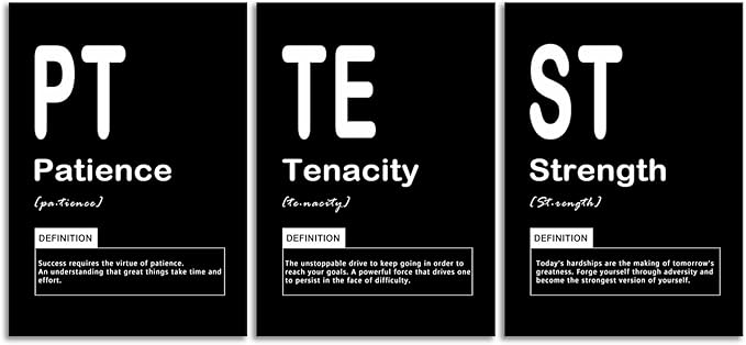 Motivational Wall Art Canvas Print Patience Tenacity Strength Noun Posters Office Wall Decor Inspiring Framed Paintings Inspirational Quotes for Wall Art Decoration Ready to Hang [60" W X 28" H]