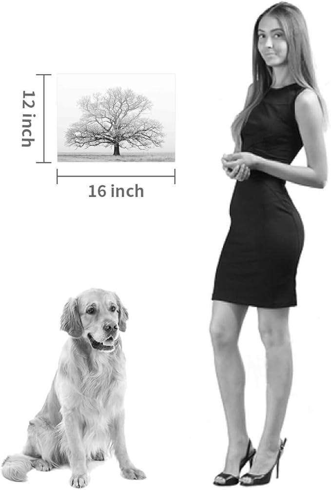 Hardy Gallery Winter Tree Canvas Print Artwork: Grey & White Landscape Print Wall Art for Bathroom (16'' x 12'')