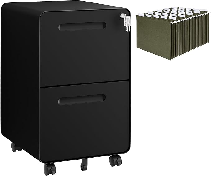 2 Drawers Metal Filing Cabinet with Lock, with 25 File Folders, Mobile Vertical Cabinet with Fully Assembled Except Casters, for Home Office, Black