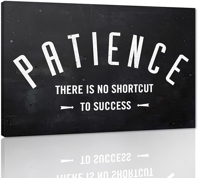 Patience - There Is No Shortcut to Success Inspirational & Motivational Office Art Wall Pictures Black and White Framed Office Home Wall Art Wooden Framed HD Print Gift Choice Ready to Hang-44 Wx28 H