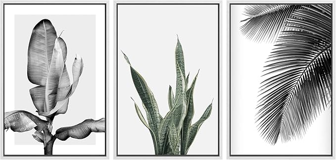 SIGNWIN Framed Canvas Print Wall Art Trio of Jungle Palms & Snake Succulents Floral Plants Photography Modern Art Minimalist Black and White for Living Room, Bedroom, Office - 24"x36"x3 White