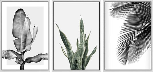 SIGNWIN Framed Canvas Print Wall Art Trio of Jungle Palms & Snake Succulents Floral Plants Photography Modern Art Minimalist Black and White for Living Room, Bedroom, Office - 24"x36"x3 White