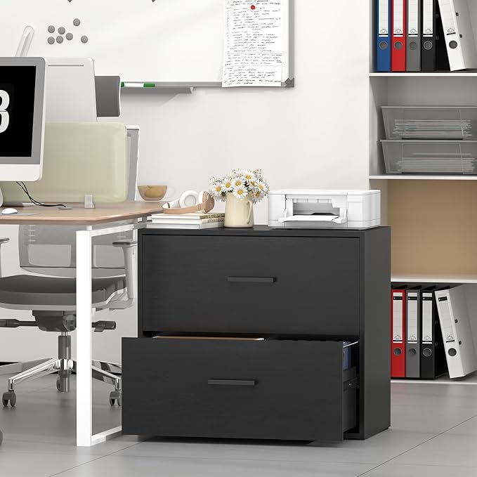 2 Drawer Lateral File Cabinet, Printer Stand Black Filing Cabinets for Home Office and School, Wood Rattan File Cabinet for Hanging Files/Letter/Legal Size, Black
