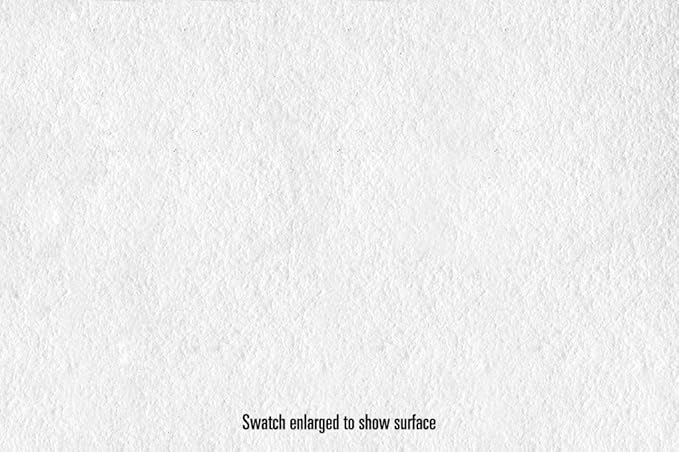 Canson Infinity Platine Fibre Rag Fine Art Paper, 310 Gram , 8.5 x 11 Inch, 25 Sheets (206211031)