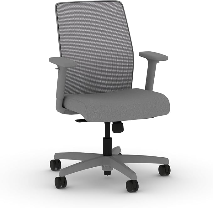 HON Ignition 2.0 Low Back Task Chair, Standard Synchro-Tilt Control, Office Chair with Lumbar Support, Height and Width Adjustable Arms, Titanium Frame, Frost