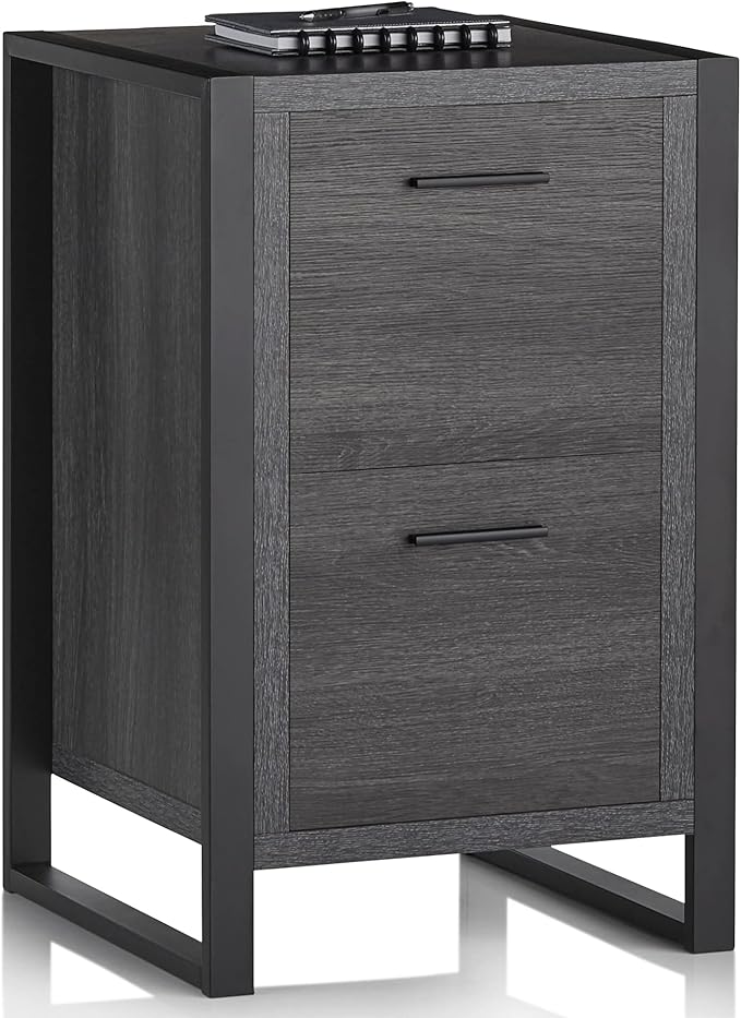 Realspace® DeJori 20" D Vertical 2-Drawer File Cabinet, Charcoal