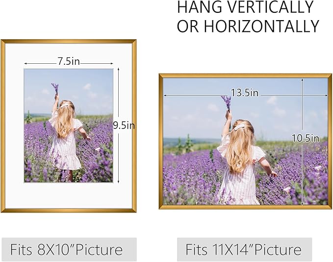 Golden State Art, Gallery Wall Frame Set of 6 - Bronze 11x14 Aluminum Photo Frames with Mat for 8x10 Pictures - 11 x 14 inch Metal Frame with Real Glass Cover - Elegant Home or Office Decor