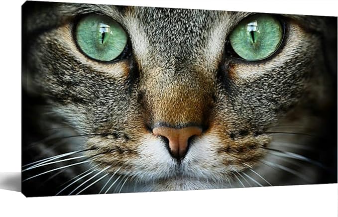TIGTMULERLY Wall Art Frame Gallery Wall Decor Feline Modern Canvas Prints Artwork for Living Room Bedroom Office Kitchen 48x24Inch