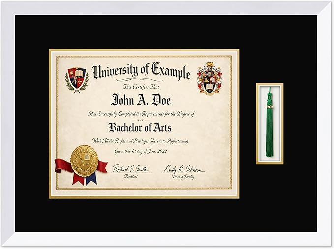 CountryArtHouse Diploma and Tassel Frame Fits 14 x 11 College Diploma (Modern) with Tassel Hook Bright White Genuine Hardwood Shadowbox with Black Over Metallic Gold Double mat