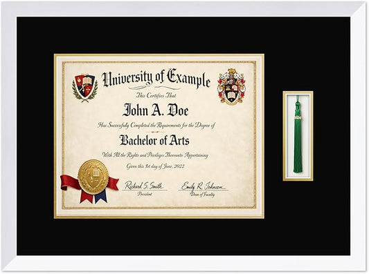 CountryArtHouse Diploma and Tassel Frame Fits 14 x 11 College Diploma (Modern) with Tassel Hook Bright White Genuine Hardwood Shadowbox with Black Over Metallic Gold Double mat