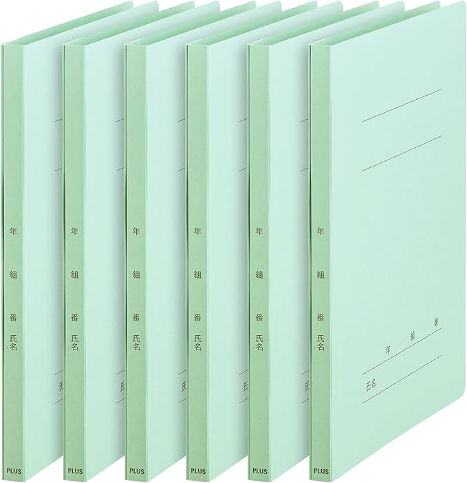 Plus Flat File, Year-Round Name Flat File, A4, Blue, 6 Pack 79-595 x 2
