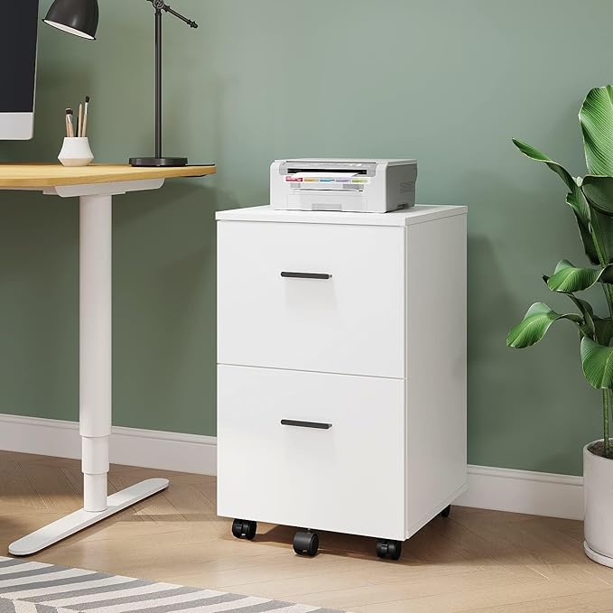Panana 2 Drawer Mobile File Cabinet, Wood Rolling Filing Cabinet Printer Stand Under Desk Storage Organizer Fits Letter Size File Folders for Home Office (White)