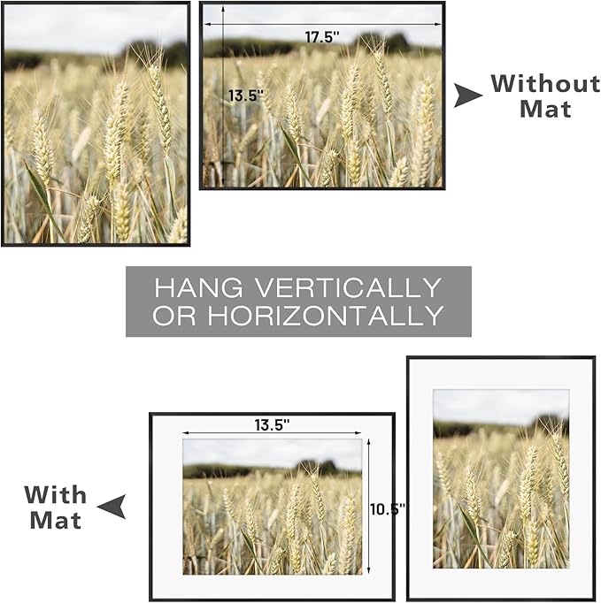 Golden State Art, Gallery Wall Frame Set of 6 - Black 14x18 Aluminum Photo Frames with Mat for 11x14 Pictures - 14 x 18 inch Metal Frame with Real Glass Cover - Elegant Home or Office Decor
