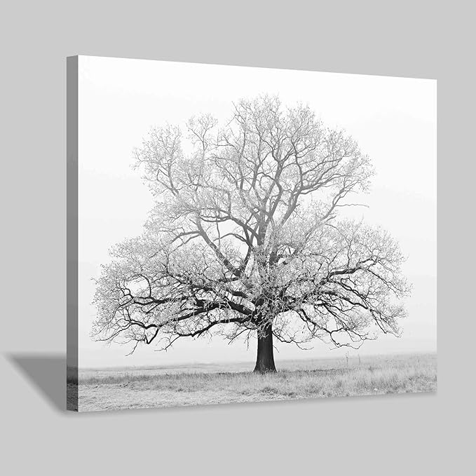Hardy Gallery Winter Tree Canvas Wall Art: Black & White Tree Picture Print Artwork for Living Rooms Wall Decor (24'' x 18'')