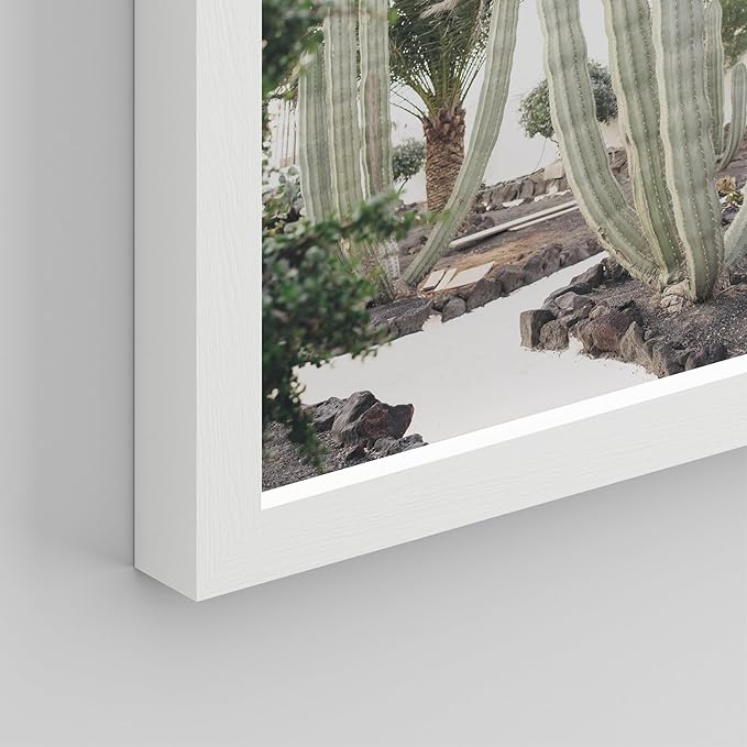 SIGNWIN Framed Poster Wall Art Set of Cactus Desert Nature Wilderness for Living Room, Bedroom, Office - 11"x14"x 8 White