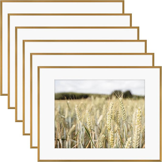 Golden State Art, Gallery Wall Frame Set of 6 - Bronze 14x18 Aluminum Photo Frames with Mat for 11x14 Pictures - 14 x 18 inch Metal Frame with Real Glass Cover - Elegant Home or Office Decor