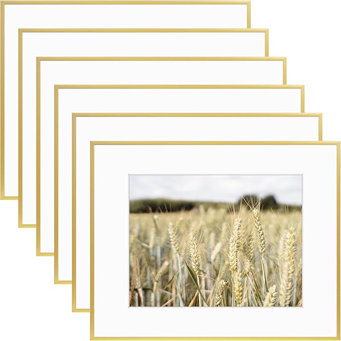 Golden State Art, Gallery Wall Frame Set of 6 - Gold 16x20 Aluminum Photo Frames with Mat for 11x14 Pictures - 16 x 20 inch Metal Frame with Real Glass Cover - Elegant Home or Office Decor
