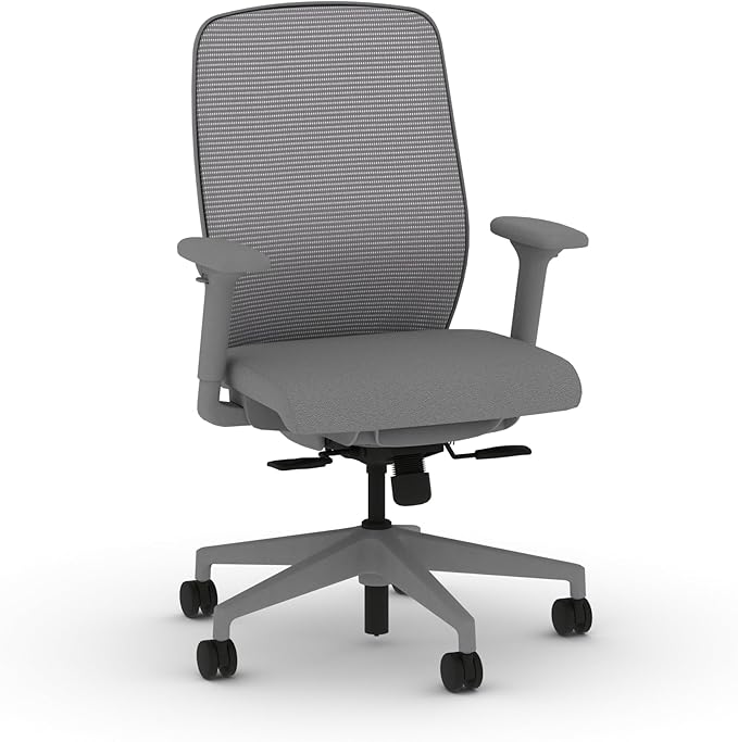 HON Nucleus Task Chair, Standard Synchro-Tilt Control, Office Chair with Lumbar Support, Height and Width Adjustable Arms, Titanium Frame, Frost