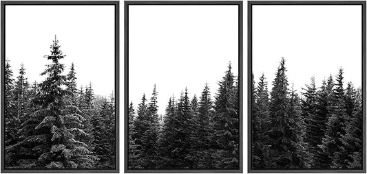 SIGNWIN 3 Piece Framed Canvas Wall Art Woodland Nursery Decor Black and White Forest Photo Nature Illustrations Abstract Traditional Home Artwork Decoration for Living Room,Bedroom - 16"x24"x3 Black