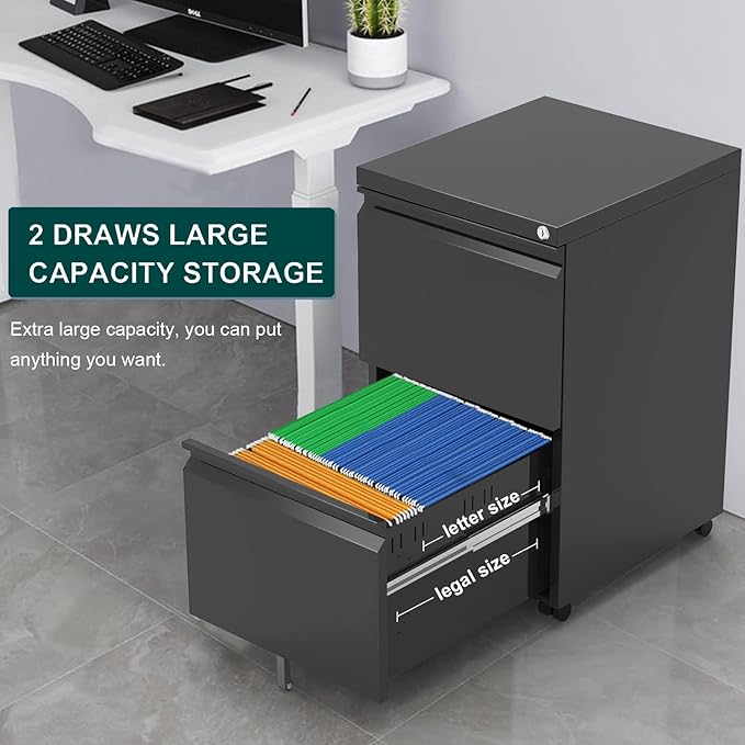 2 Drawer Mobile File Cabinet with Lock,Rolling File Cabinet, Under Desk Mobile Filing Cabinet,File Cabinets for Home Office,Storage 2 Drawer Mobil Filing Cabinet for A4/Legal/Letter,Balck