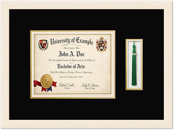 CountryArtHouse Diploma and Tassel Frame Fits 10 x 8 Professional License with Tassel Hook Coastal Whitewash Genuine Hardwood Shadowbox with Black Over Metallic Gold Double mat