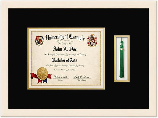 CountryArtHouse Diploma and Tassel Frame Fits 10 x 8 Professional License with Tassel Hook Coastal Whitewash Genuine Hardwood Shadowbox with Black Over Metallic Gold Double mat